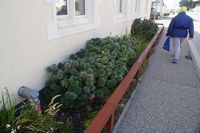 
DSC00241